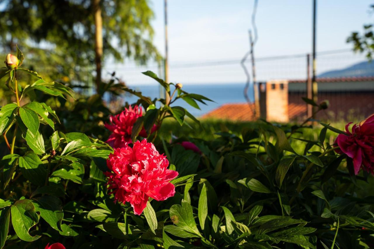 Apartment Stella Marina Rabac Exterior photo